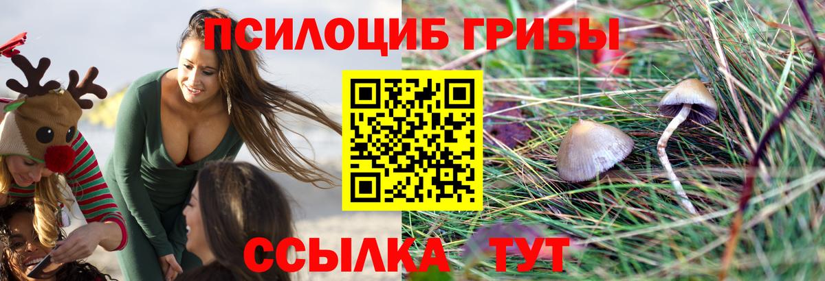 Галлюциногенные грибы MAGIC MUSHROOMS  Вход с VPN  Коряжма 